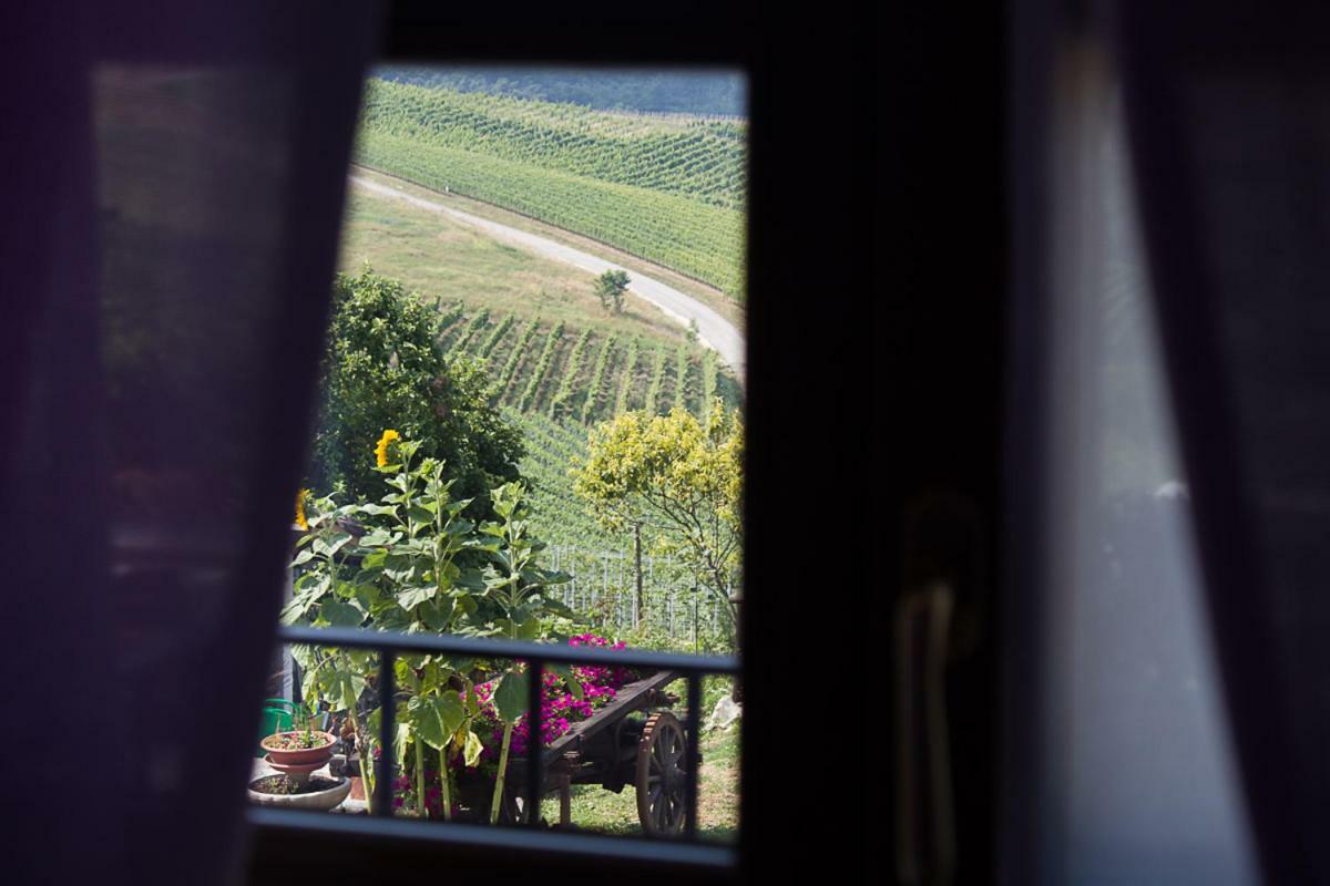 Agriturismo La Ca Veja Monforte dʼAlba المظهر الخارجي الصورة